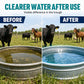 🐄 Tabletas de limpieza de rápida disolución para tanques de agua y bebederos de ganado – purifica el agua, elimina algas y bacterias. Fácil y eficaz! ✨💧